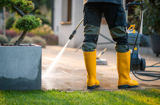 Best Exterior Home Cleaning  in Orida Gulf Coast University, FL